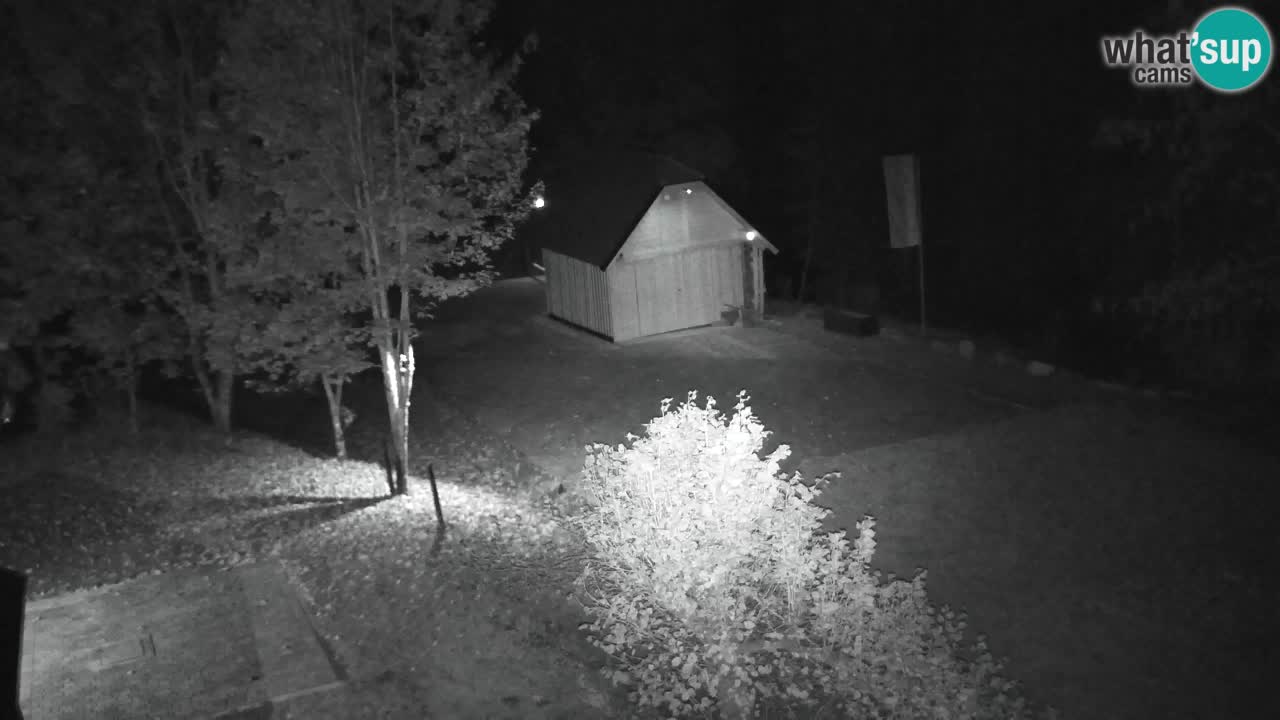 Webcam Lukanja – Water Village | Pohorje Houses