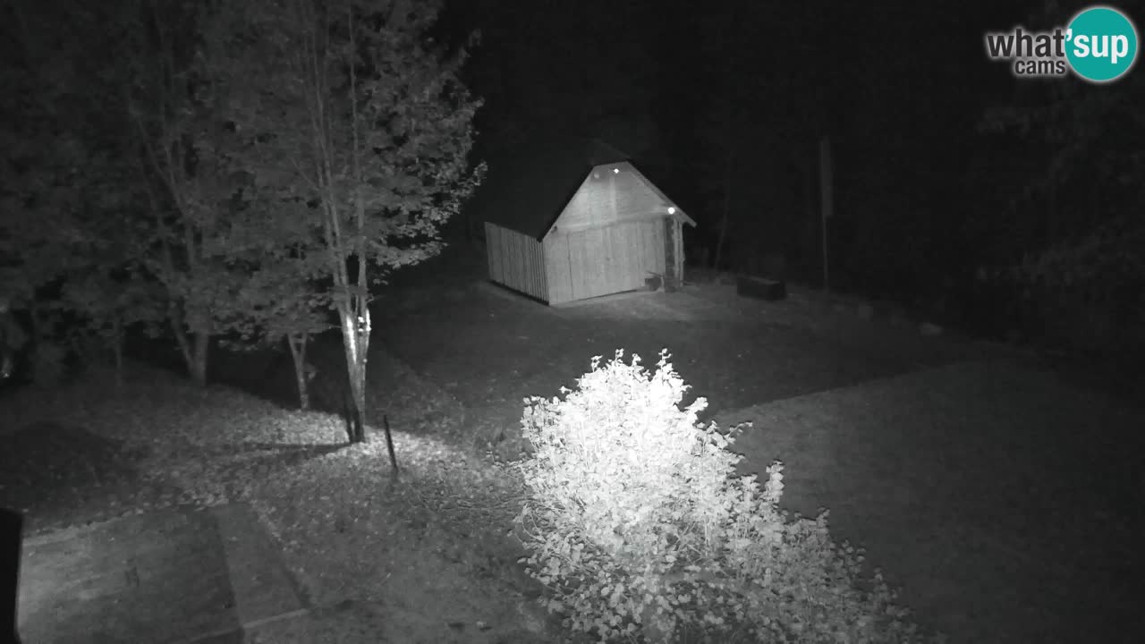 Webcam Lukanja – Water Village | Pohorje Houses