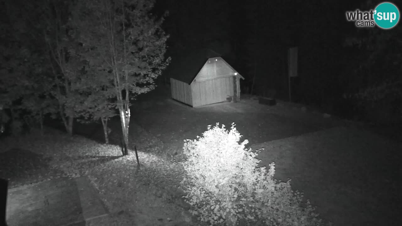Webcam Lukanja – Pohorje houses a Water village