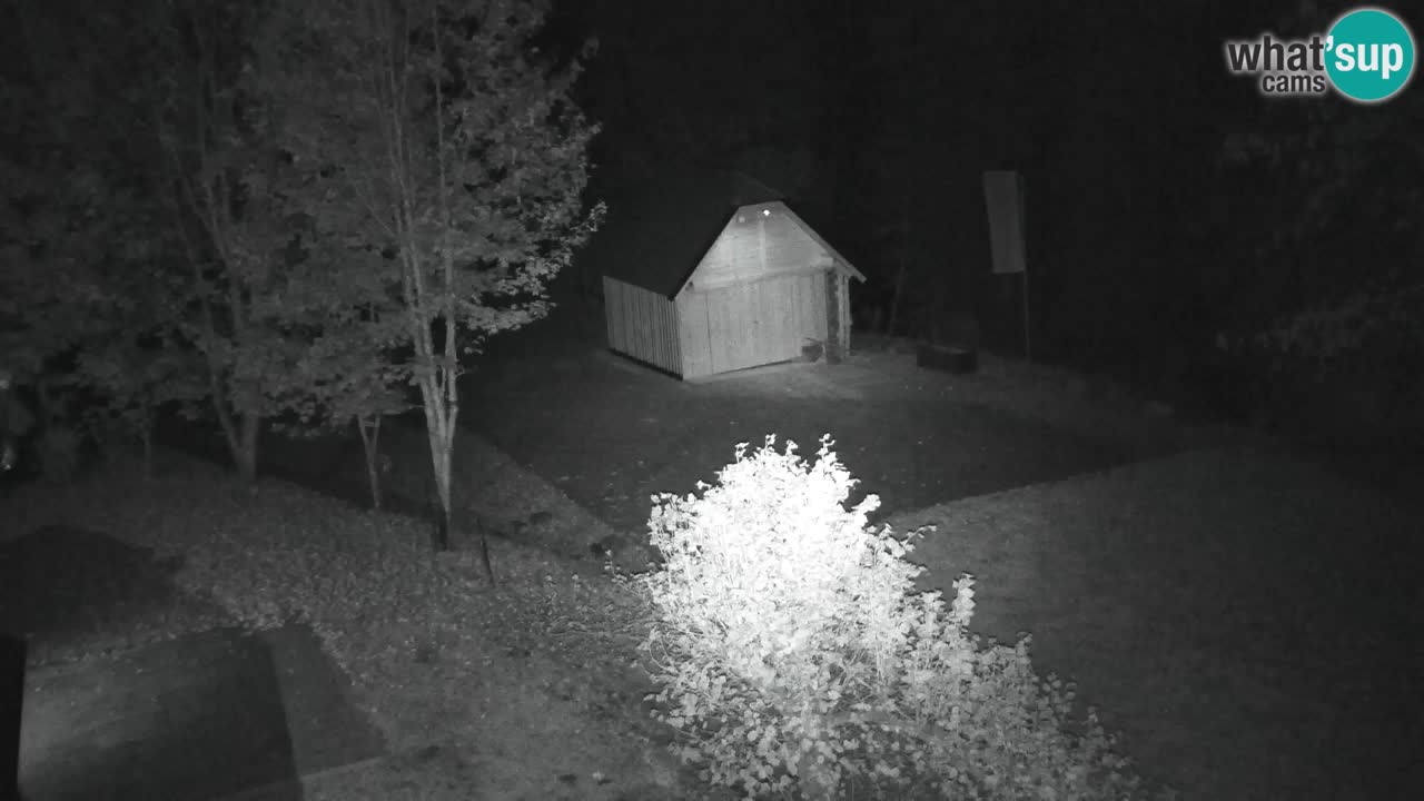 Webcam Lukanja – Pohorje houses a Water village