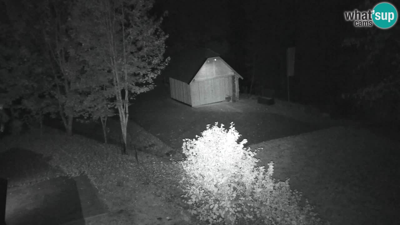 Webcam Lukanja – Water Village | Pohorje Houses