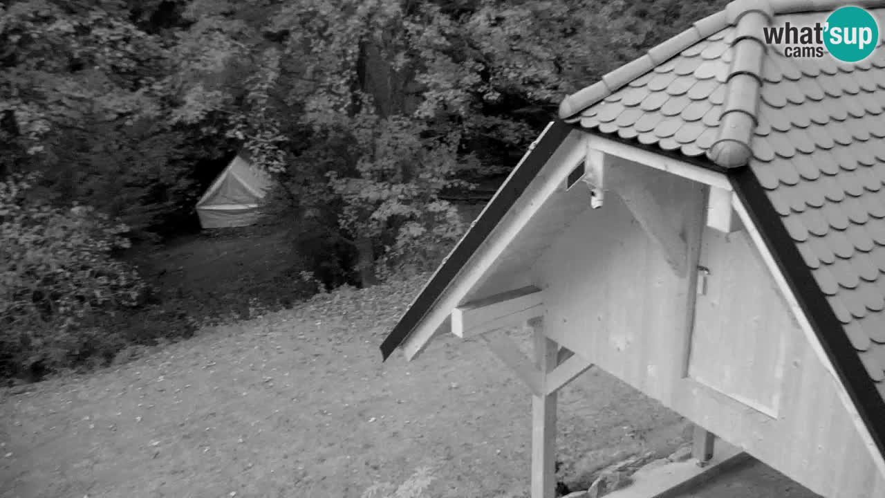 Webcam Lukanja – Water Village | Pohorje Houses