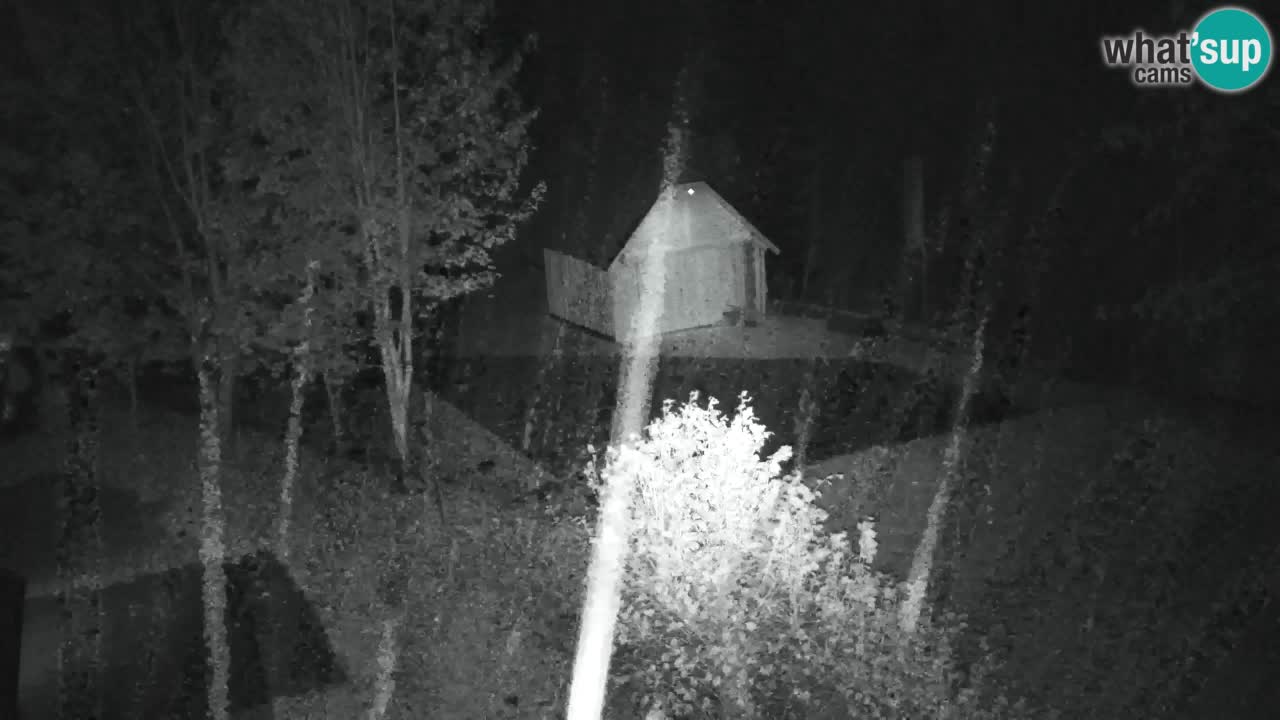 Webcam Lukanja – Water Village | Pohorje Houses