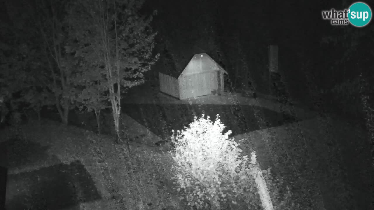 Webcam Lukanja – Pohorje houses a Water village