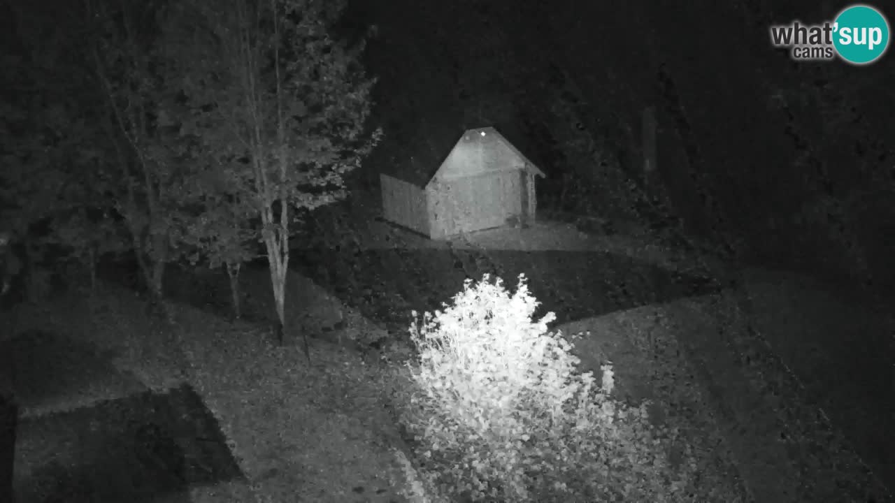 Webcam Lukanja – Water Village | Pohorje Houses