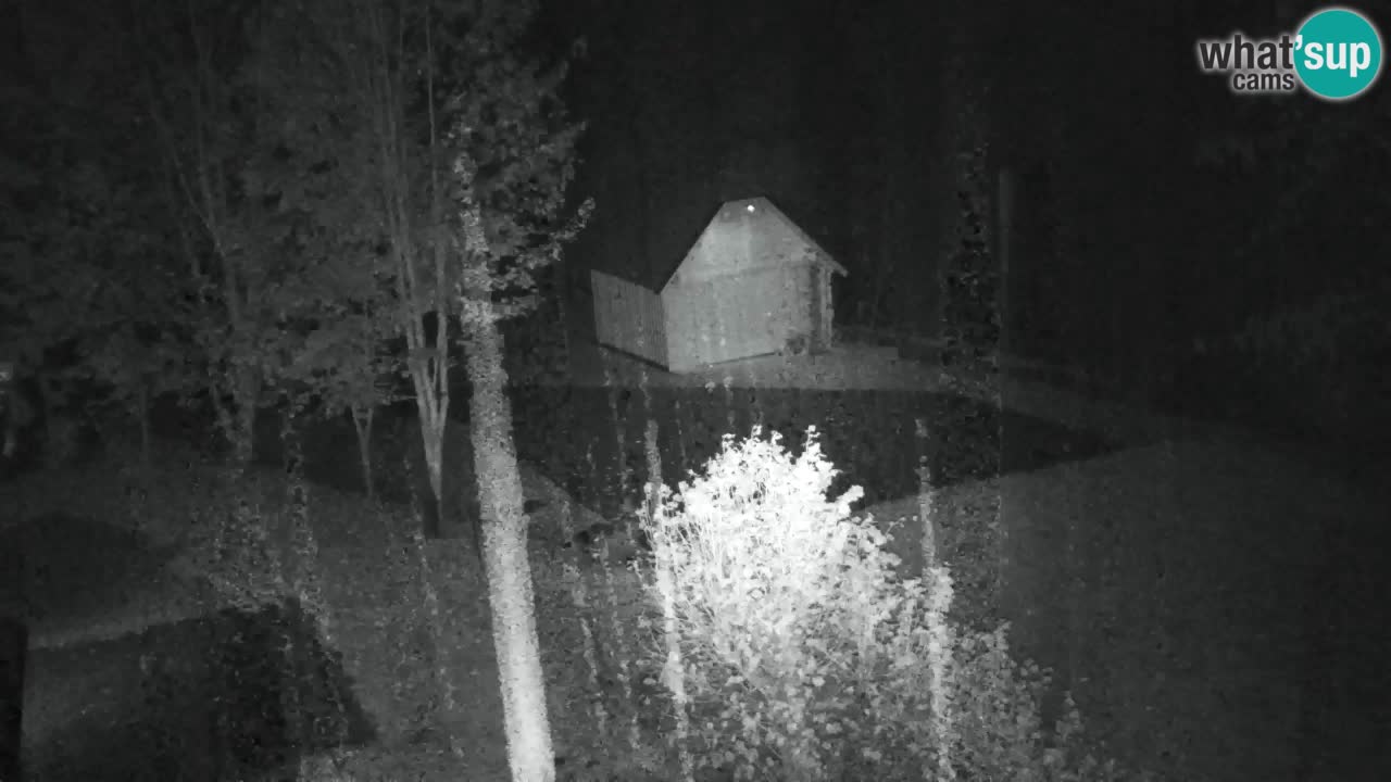 Spletna kamera Lukanja – Water Village | Pohorje Houses