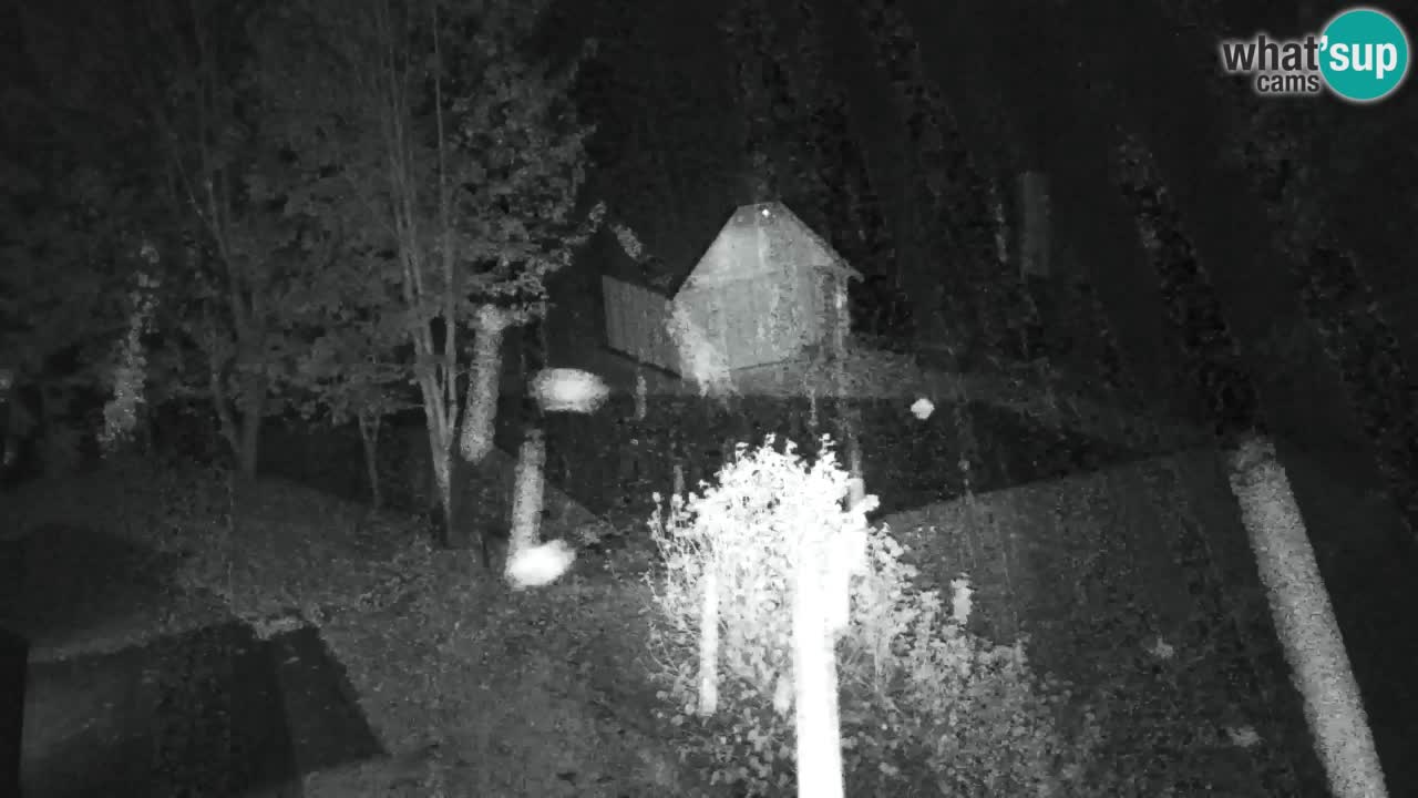 Webcam Lukanja – Pohorje houses a Water village