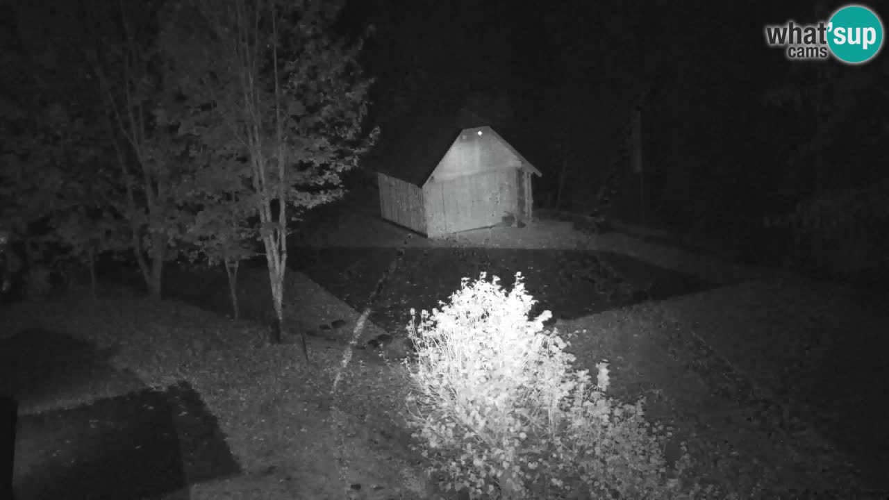 Webcam Lukanja – Water Village | Pohorje Houses