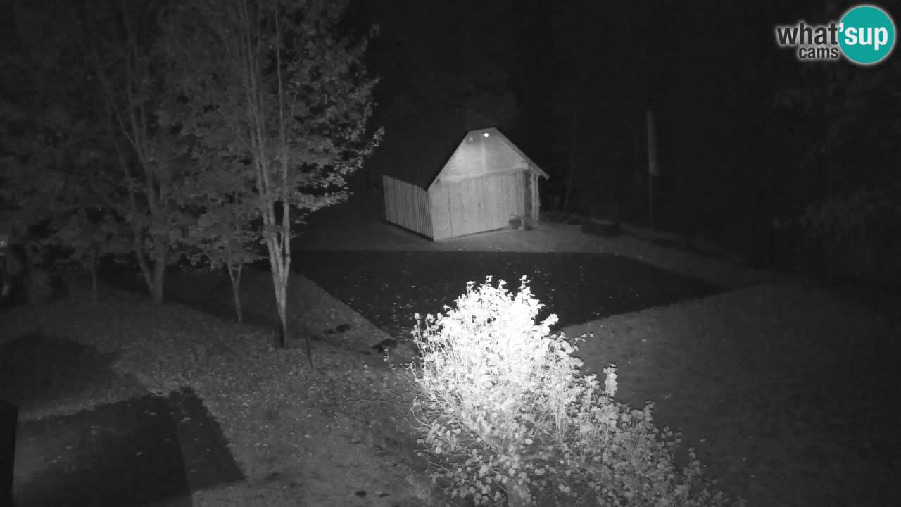 Webcam Lukanja – Pohorje houses a Water village