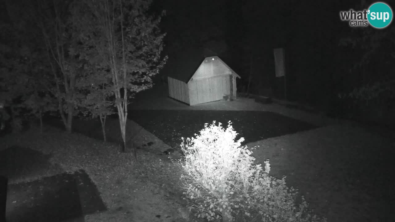 Webcam Lukanja – Pohorje houses a Water village