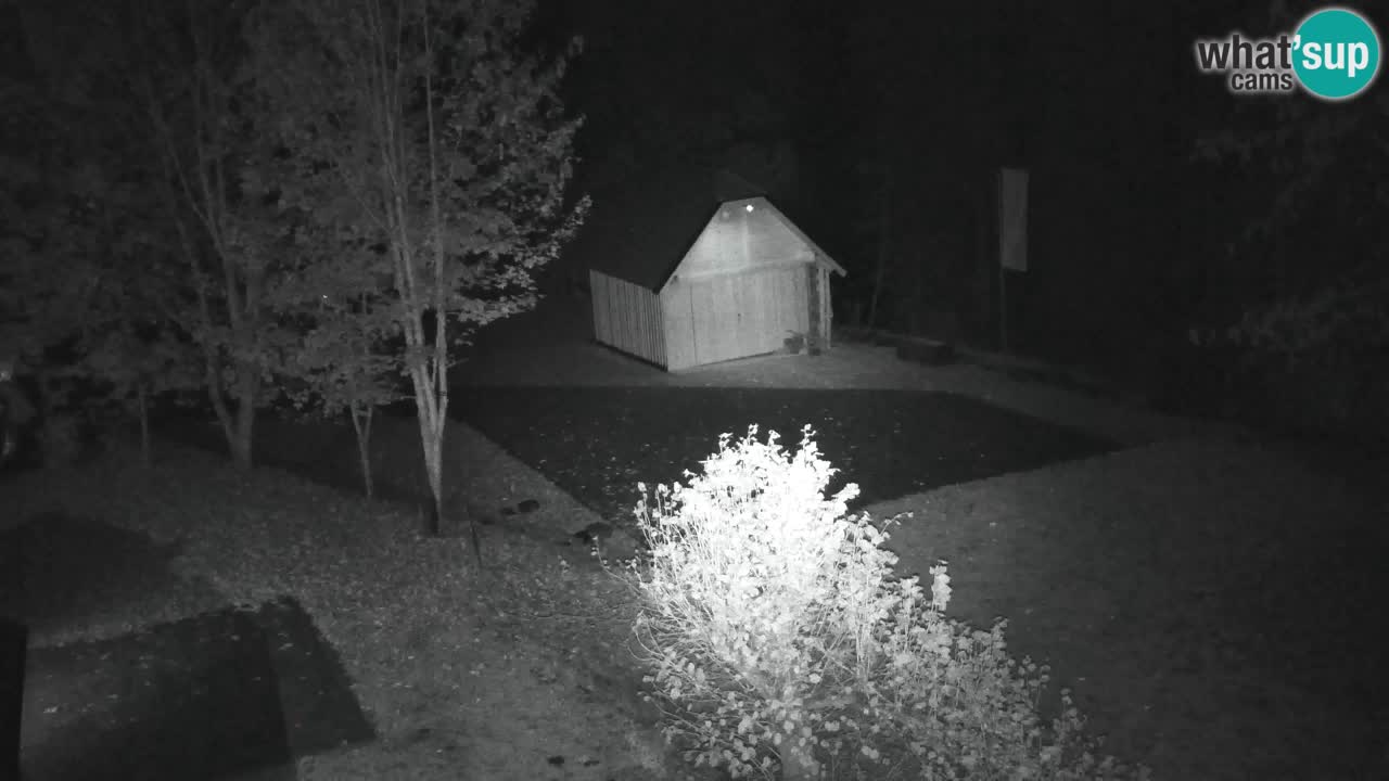 Webcam Lukanja – Water Village | Pohorje Houses