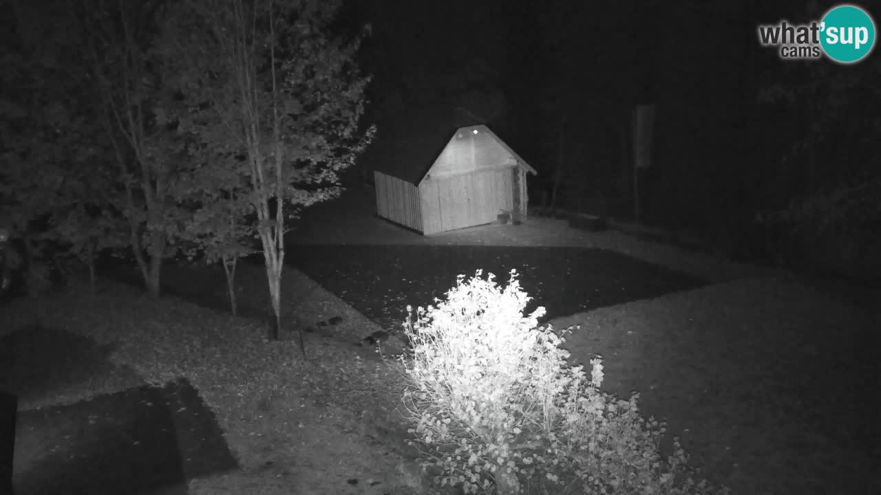 Webcam Lukanja – Water Village | Pohorje Houses