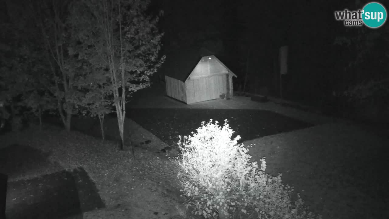 Webcam Lukanja – Pohorje houses a Water village