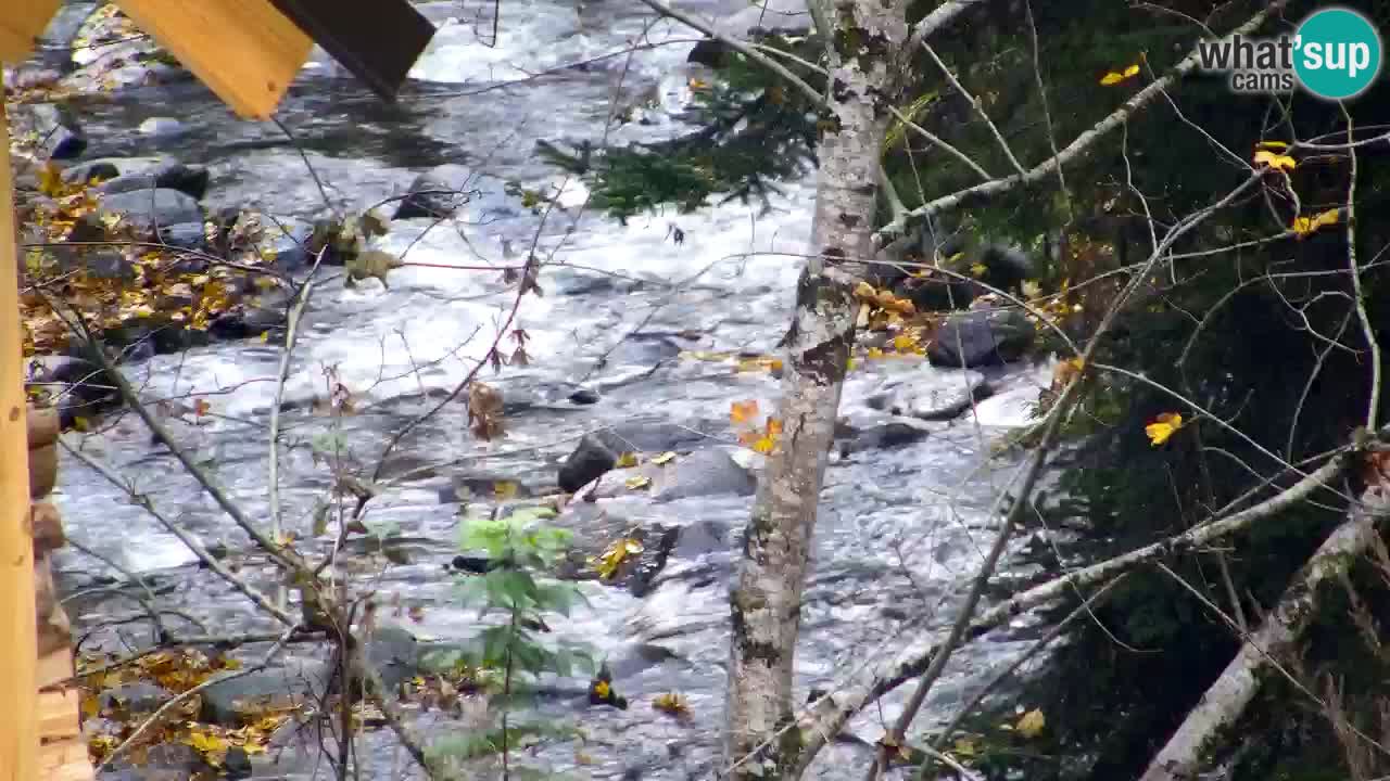 Webcam Lukanja – Pohorje houses a Water village