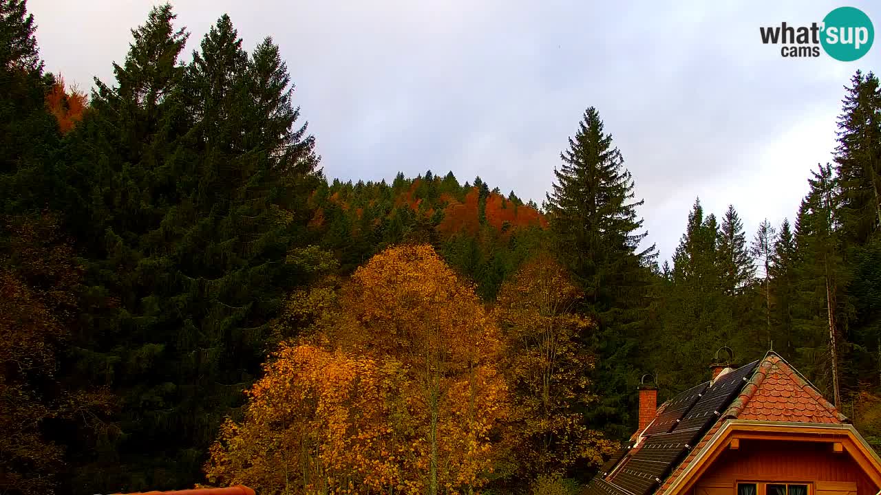 Webcam Lukanja – Pohorje houses a Water village