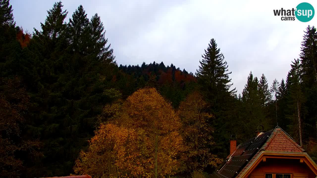 Webcam Lukanja – Water Village | Pohorje Houses