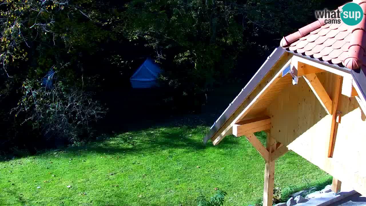 Webcam Lukanja – Water Village | Pohorje Houses