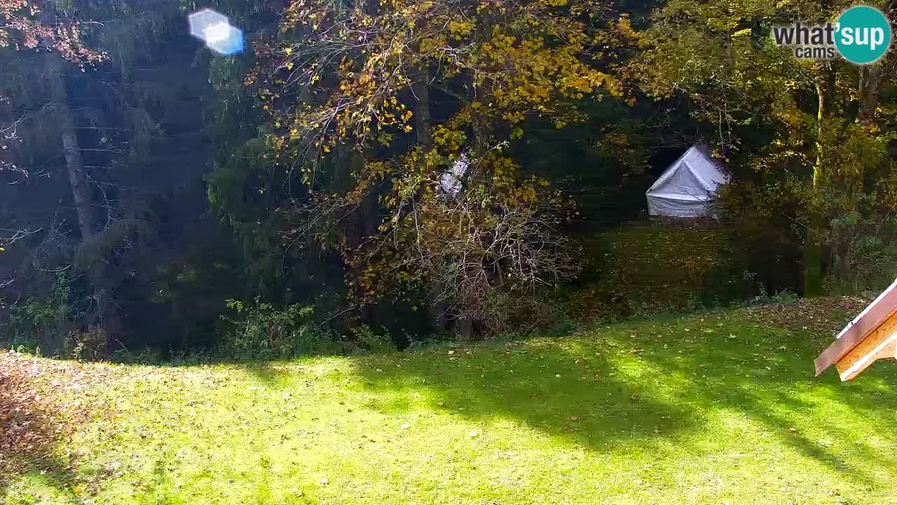 Webcam Lukanja – Water Village | Pohorje Houses