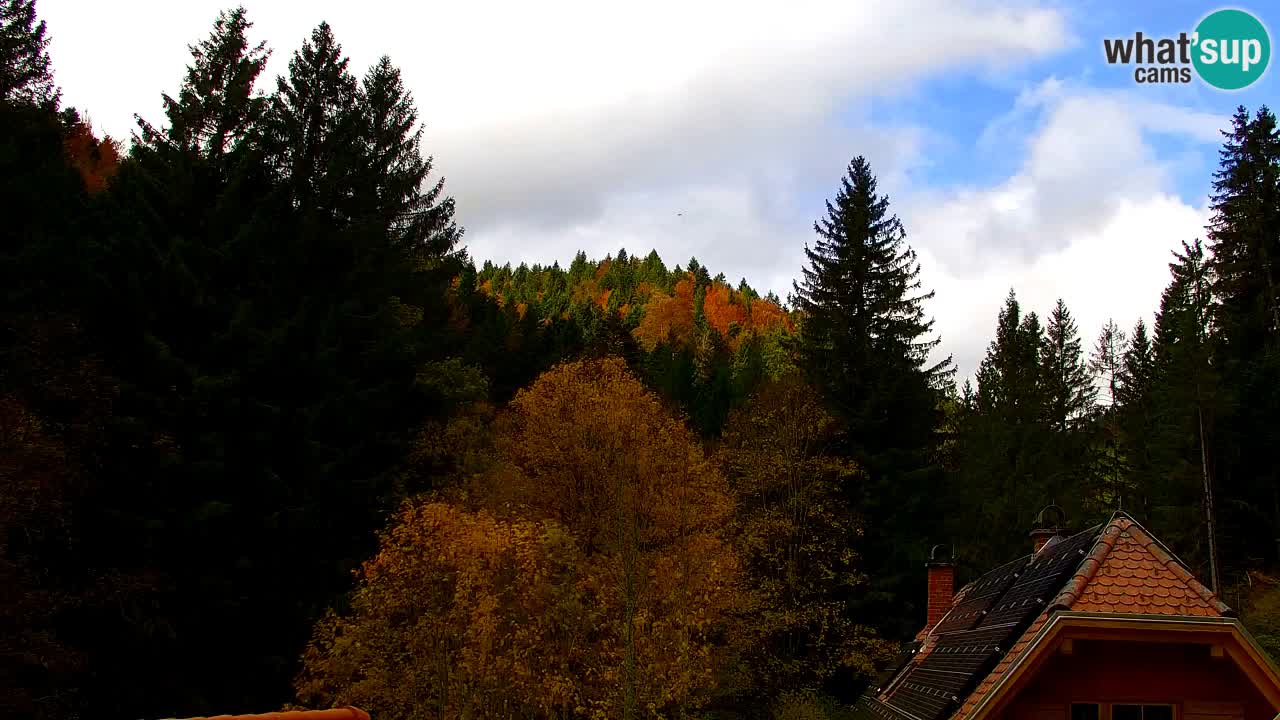Web kamera Lukanja – Water Village | Pohorje Houses