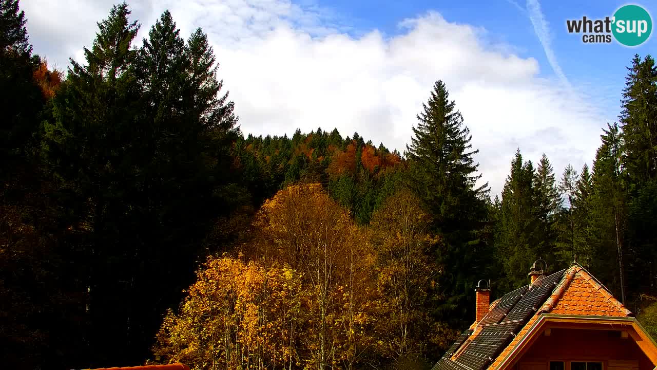 Webcam Lukanja – Pohorje houses a Water village