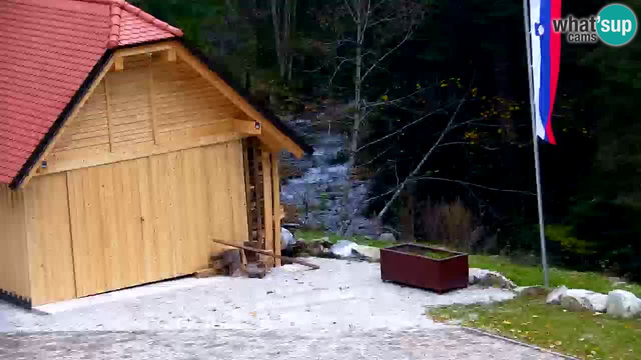 Webcam Lukanja – Water Village | Pohorje Houses