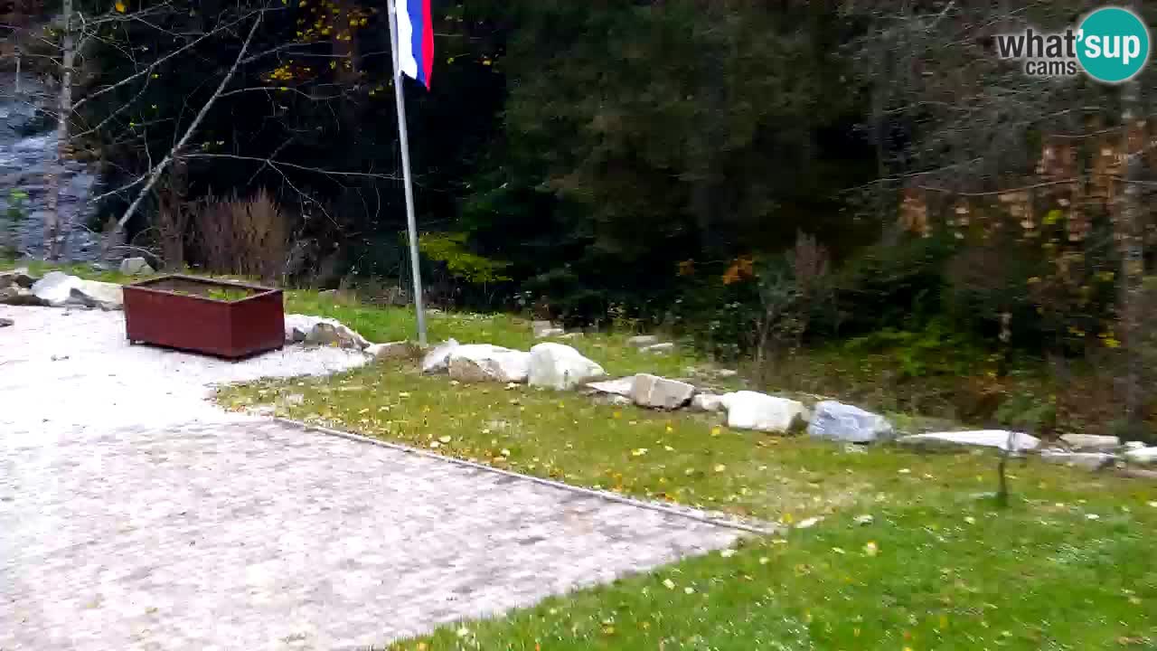 Webcam Lukanja – Water Village | Pohorje Houses