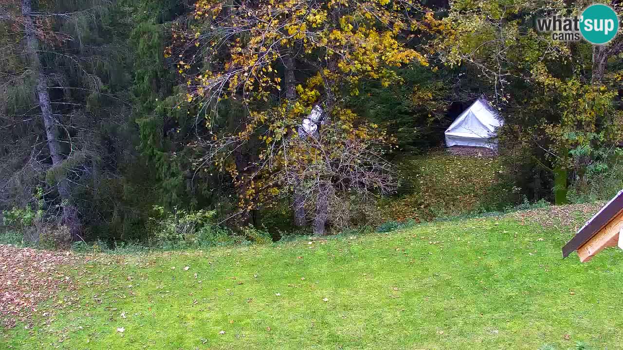 Webcam Lukanja – Pohorje houses a Water village