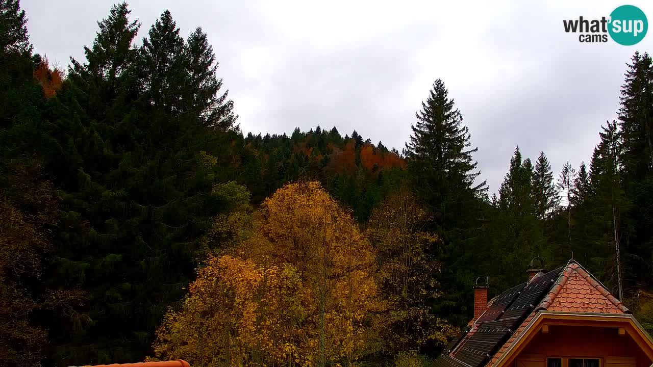 Webcam Lukanja – Water Village | Pohorje Houses