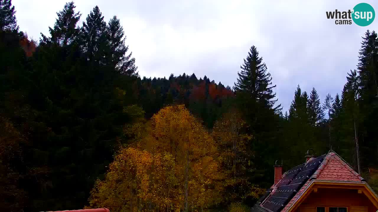 Web kamera Lukanja – Water Village | Pohorje Houses