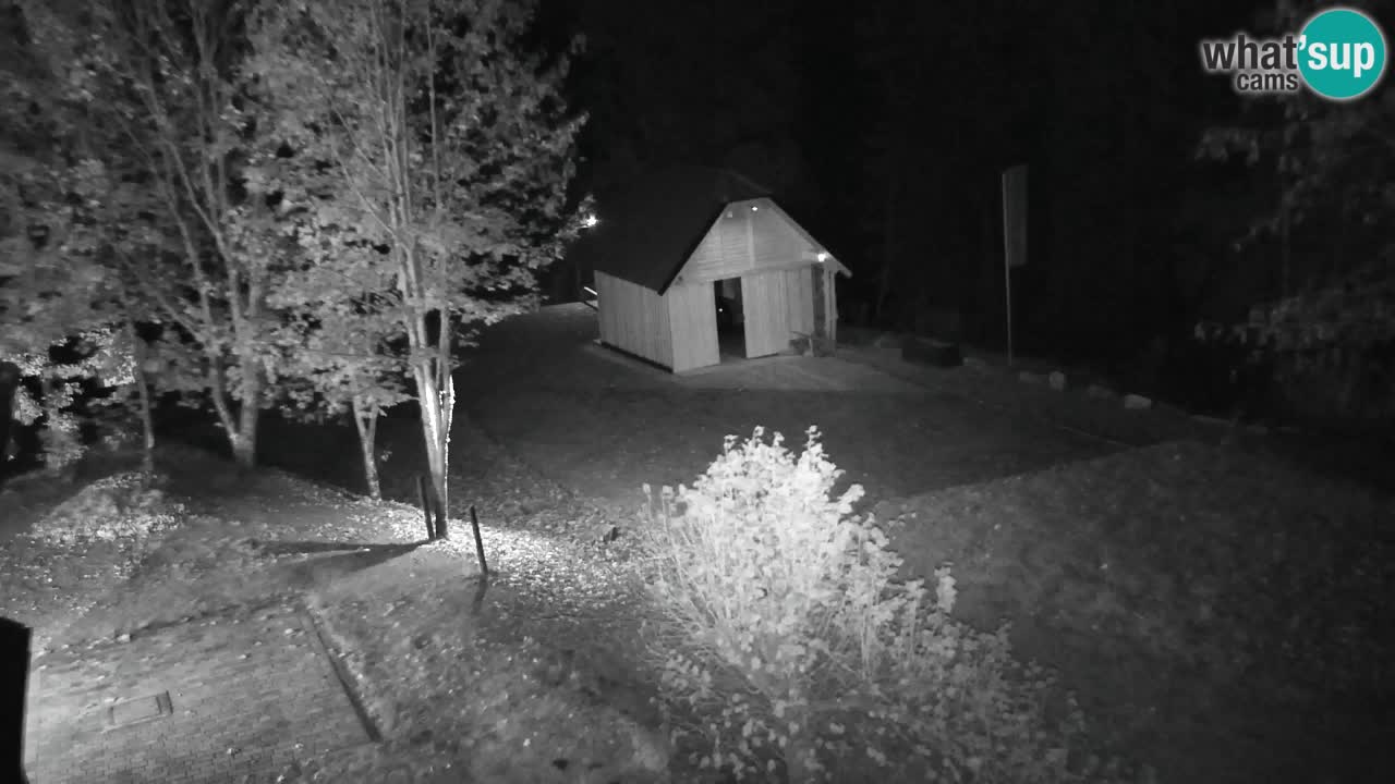 Webcam Lukanja – Pohorje houses a Water village