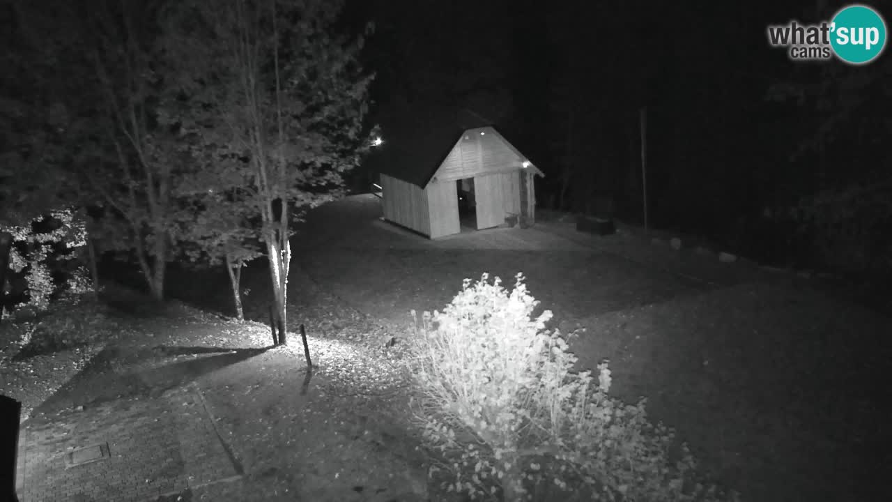 Webcam Lukanja – Pohorje houses a Water village