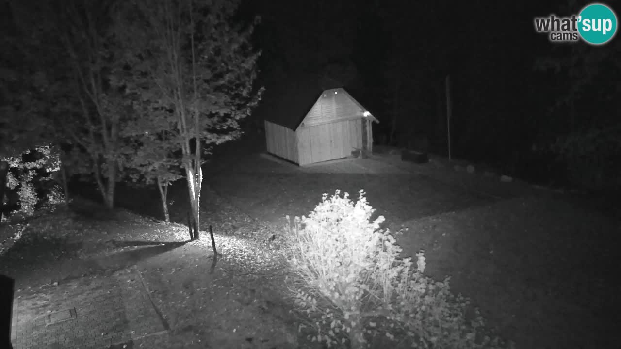 Webcam Lukanja – Water Village | Pohorje Houses