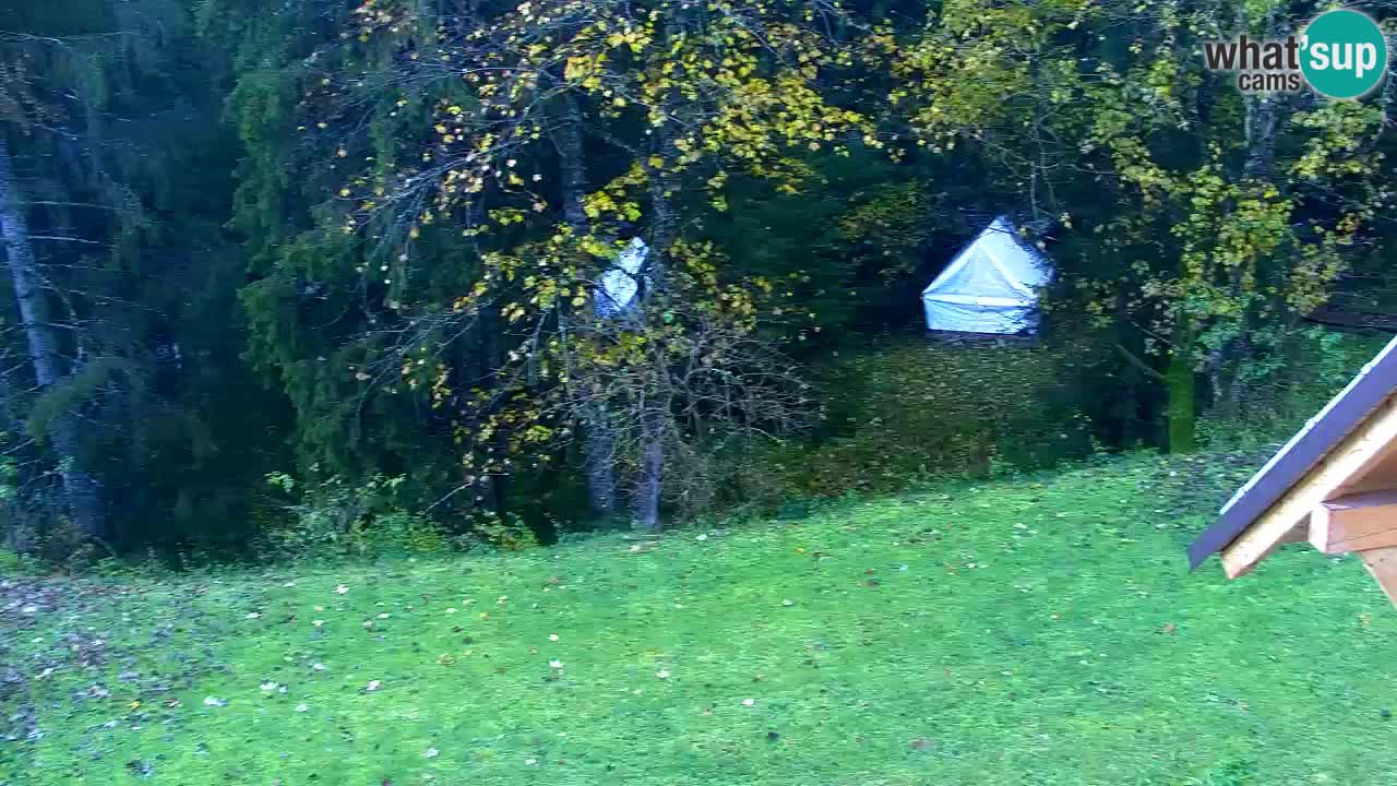 Webcam Lukanja – Water Village | Pohorje Houses