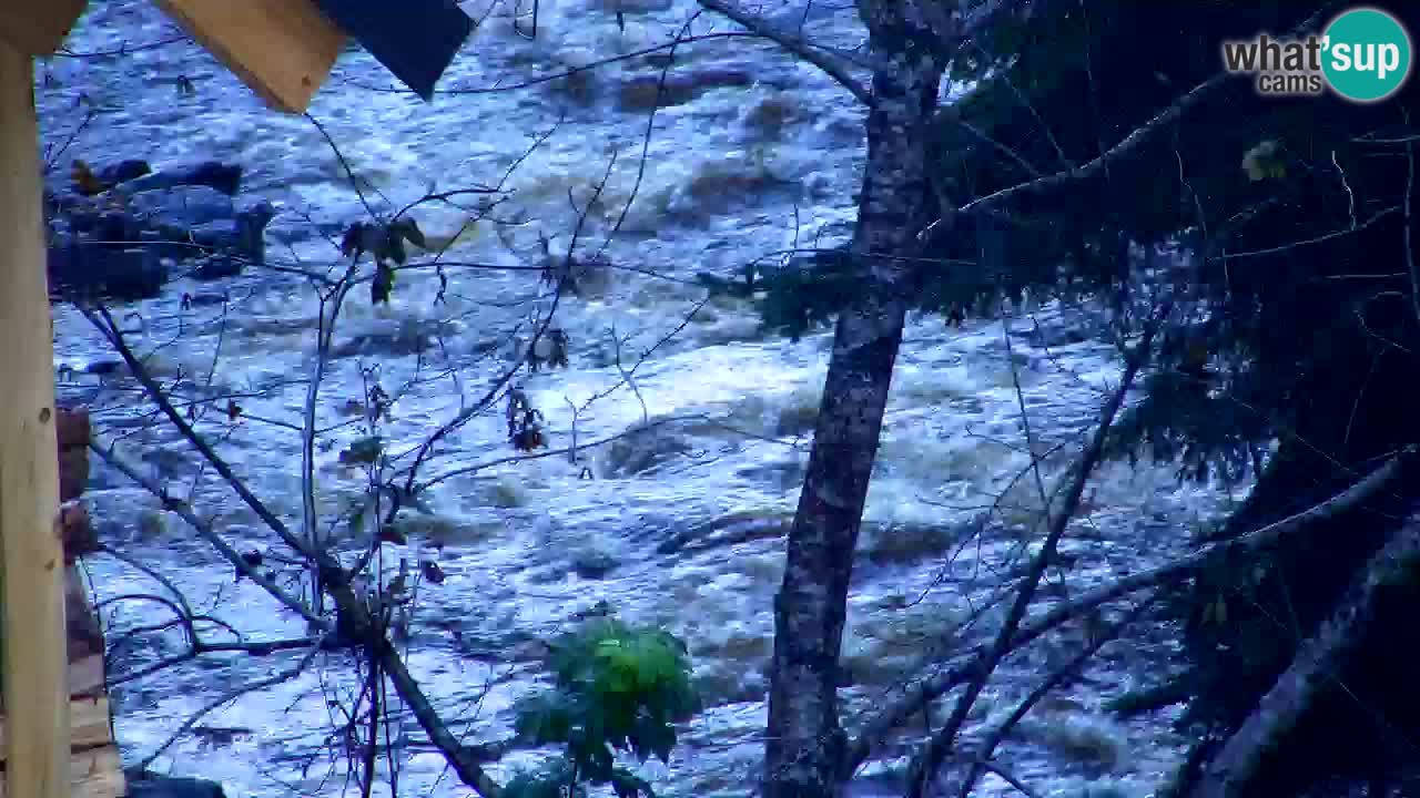 Webcam Lukanja – Water Village | Pohorje Houses