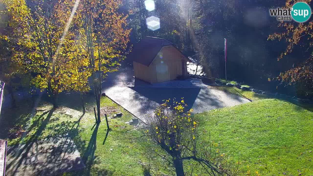 Webcam Lukanja – Water Village | Pohorje Houses