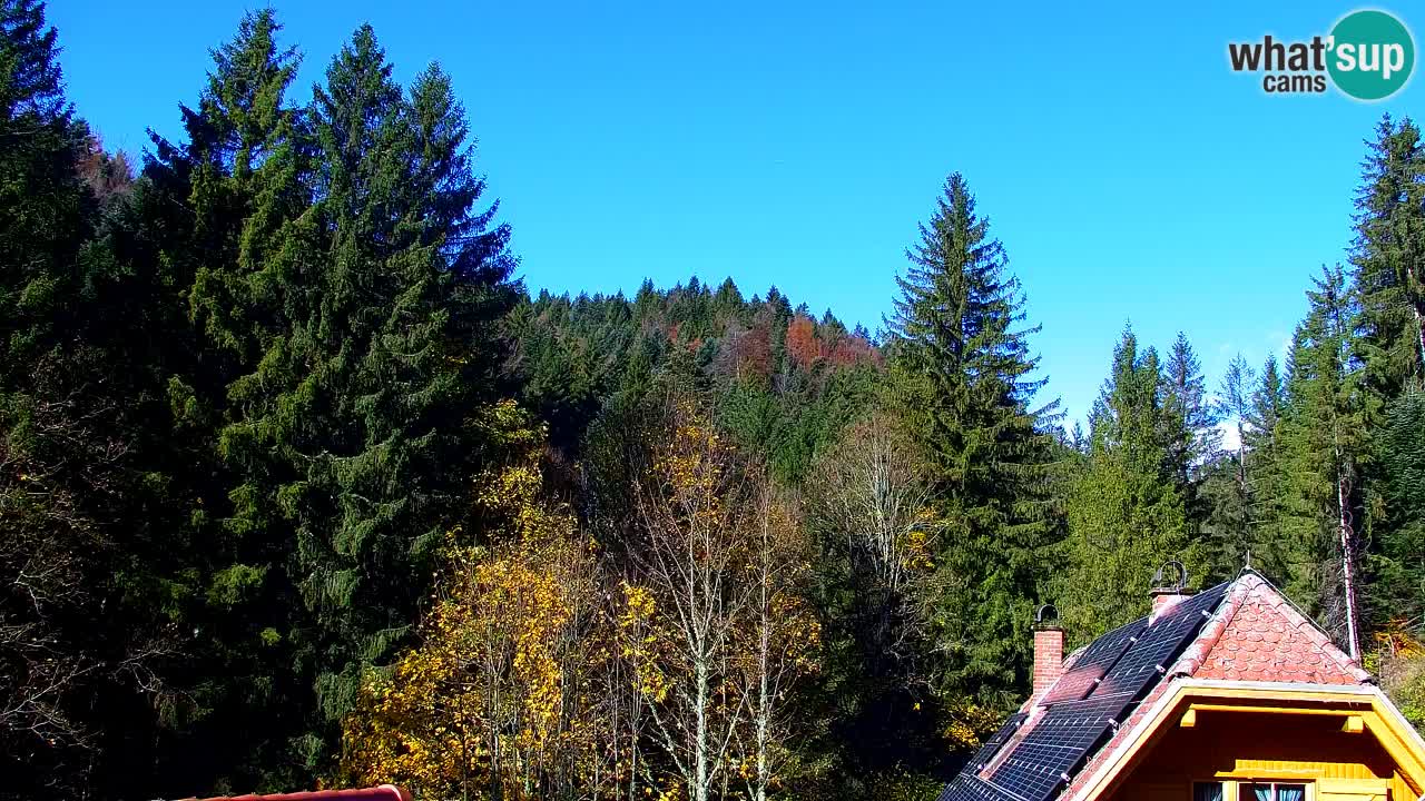 Spletna kamera Lukanja – Water Village | Pohorje Houses