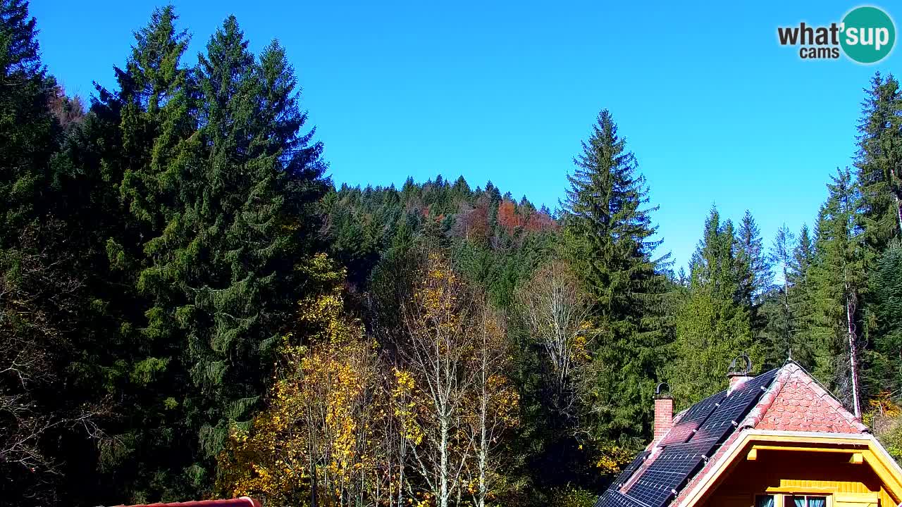 Webcam Lukanja – Pohorje houses a Water village