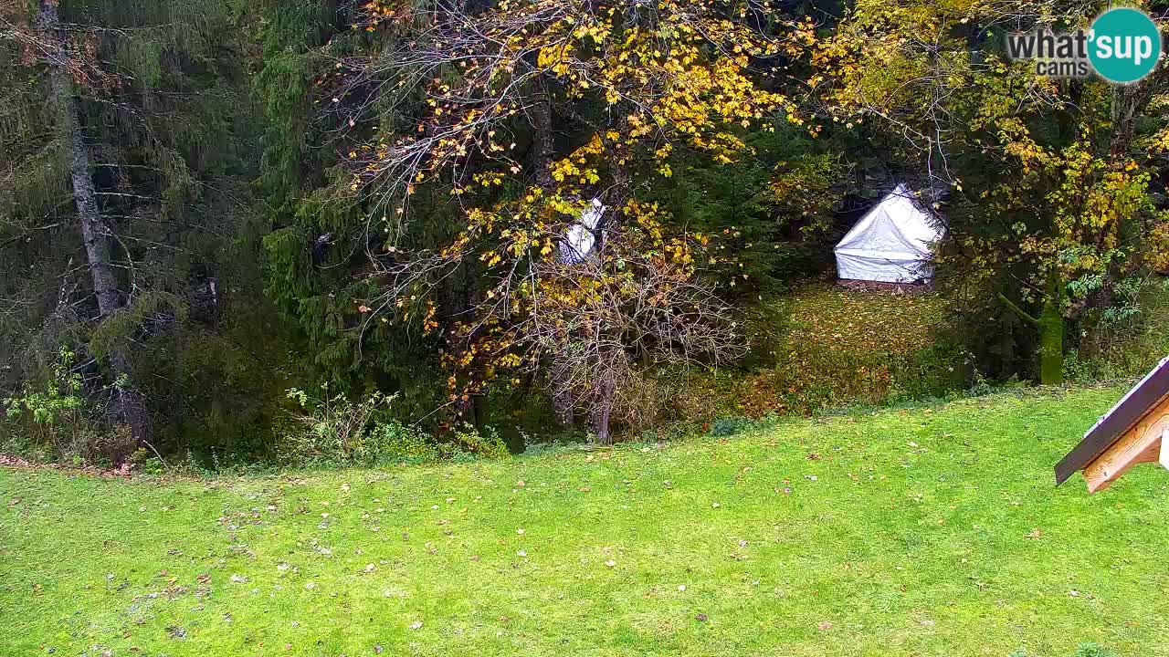 Webcam Lukanja – Water Village | Pohorje Houses