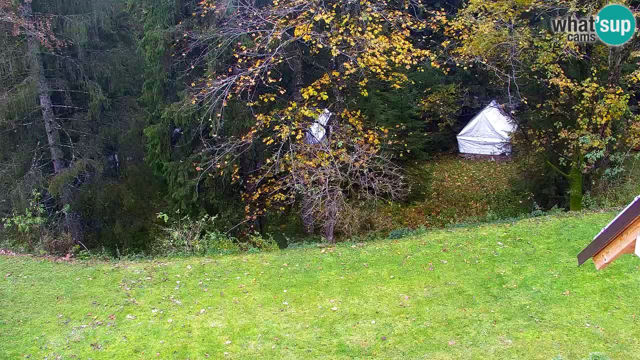 Webcam Lukanja – Pohorje houses a Water village