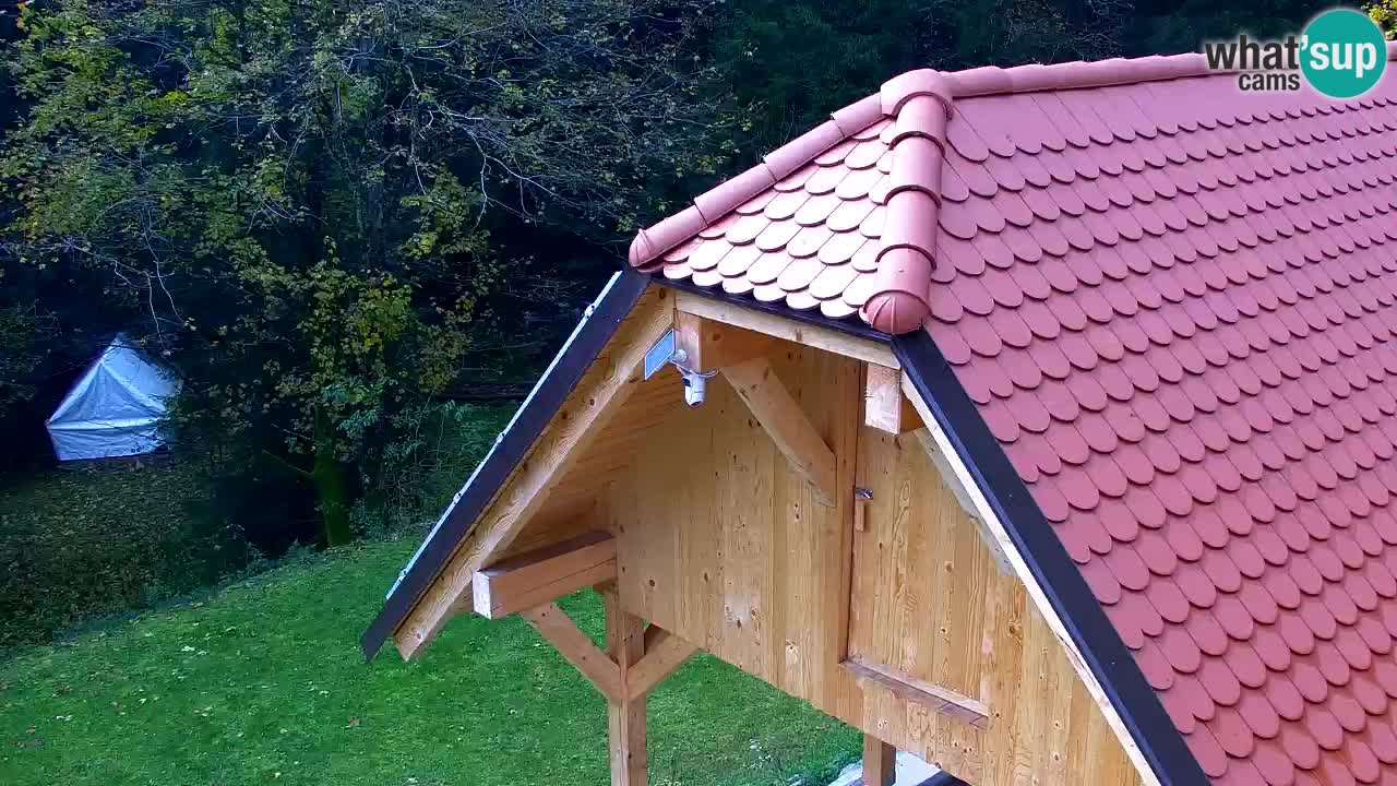 Web kamera Lukanja – Water Village | Pohorje Houses