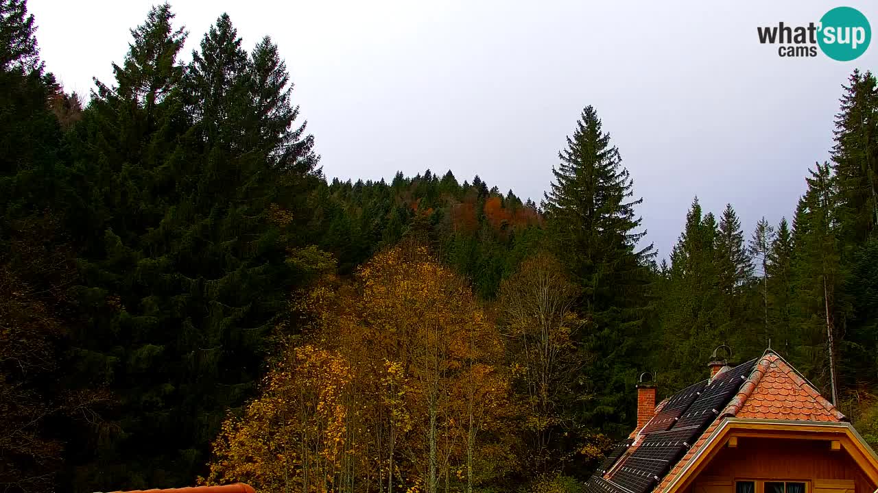 Webcam Lukanja – Water Village | Pohorje Houses