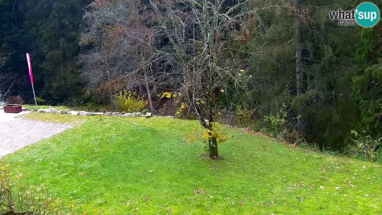 Webcam Lukanja – Water Village | Pohorje Houses