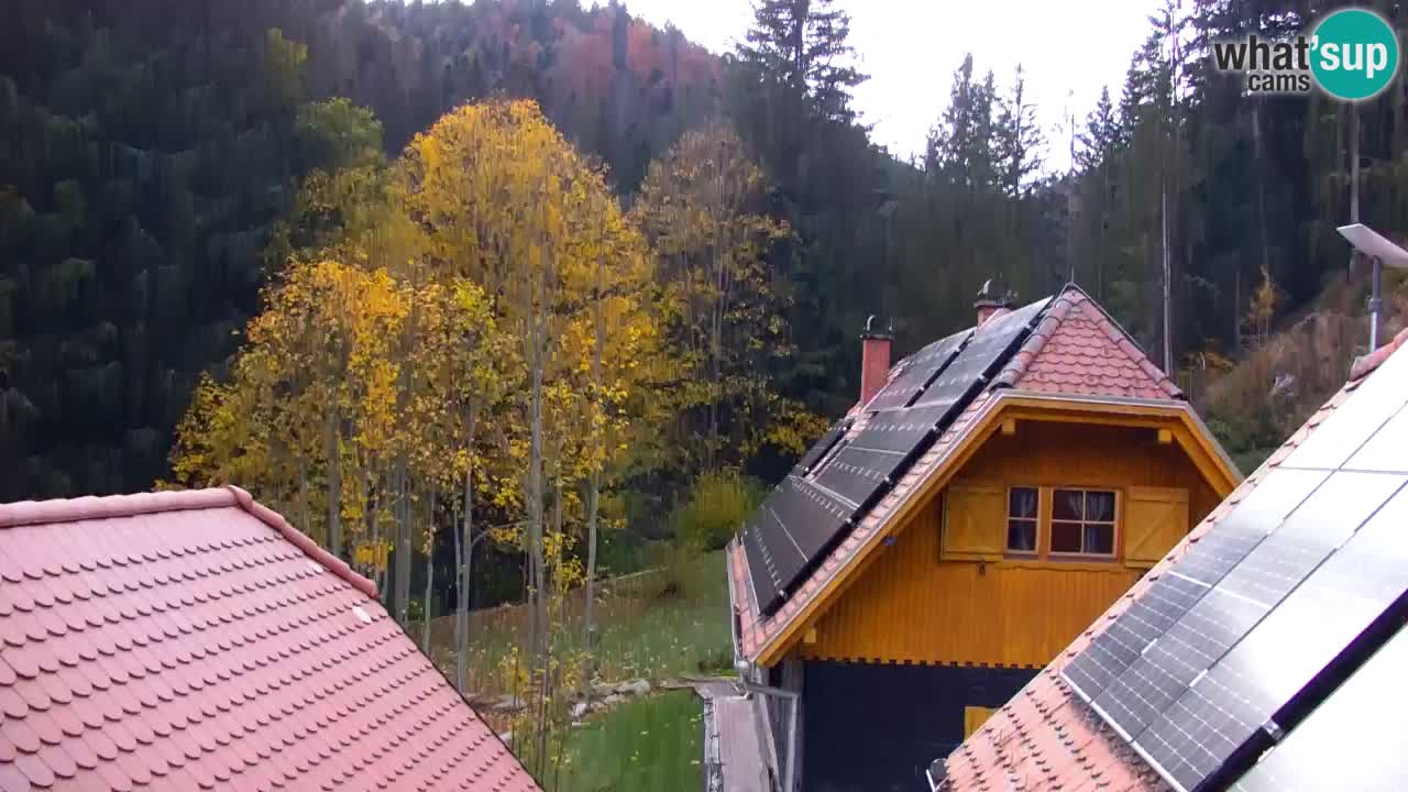Spletna kamera Lukanja – Water Village | Pohorje Houses