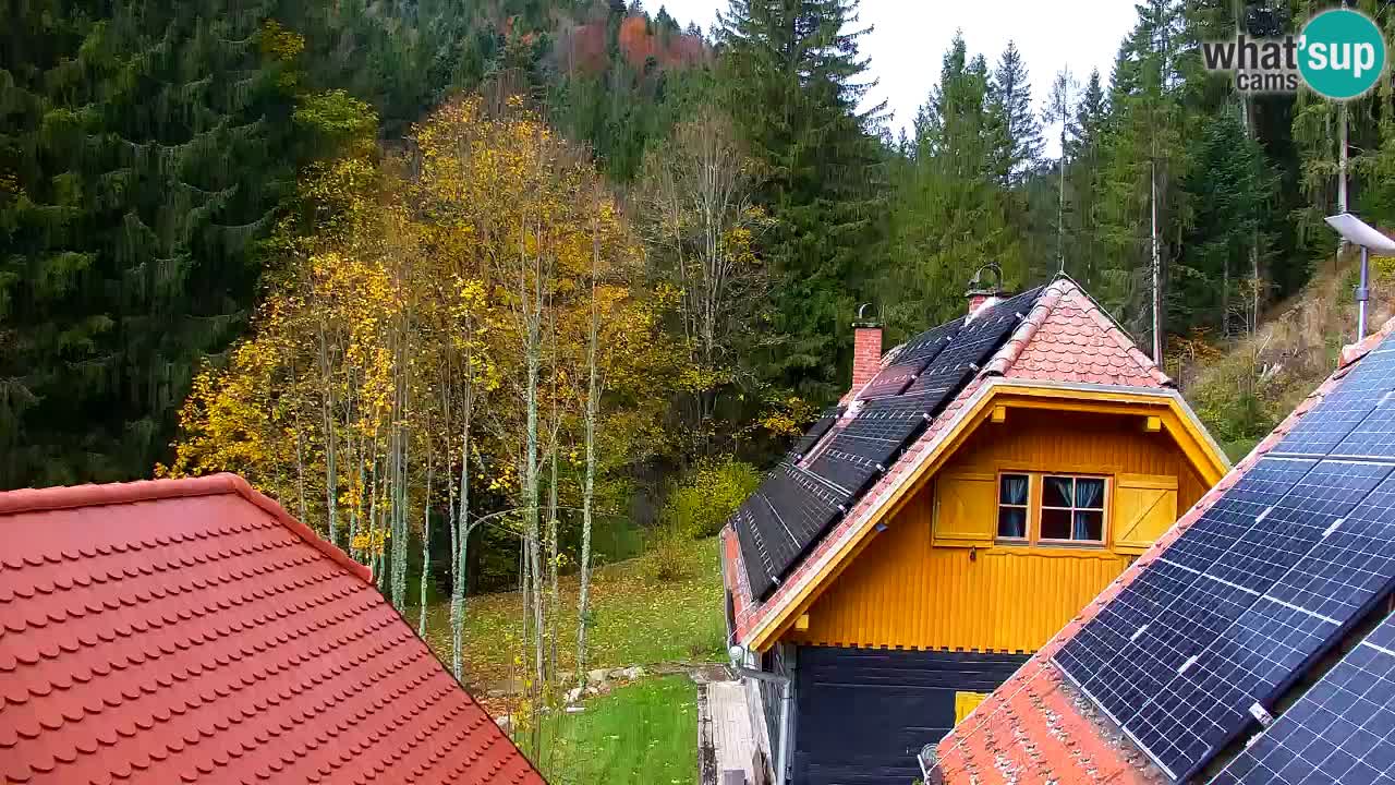 Webcam Lukanja – Water Village | Pohorje Houses