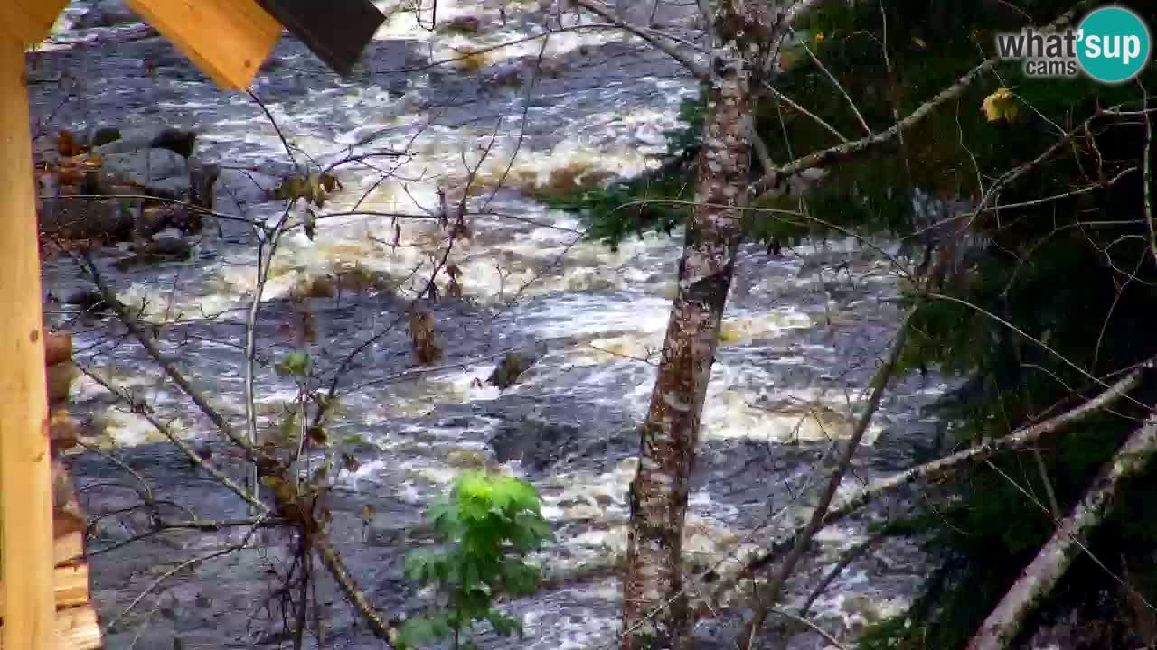 Webcam Lukanja – Water Village | Pohorje Houses
