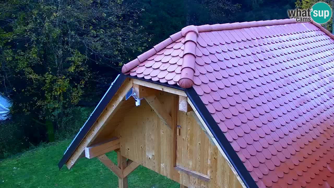 Spletna kamera Lukanja – Water Village | Pohorje Houses