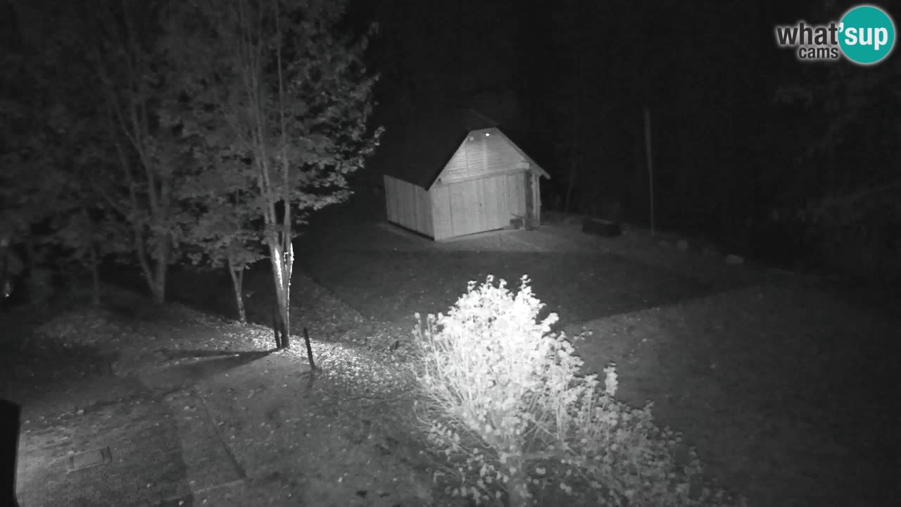Webcam Lukanja – Pohorje houses a Water village