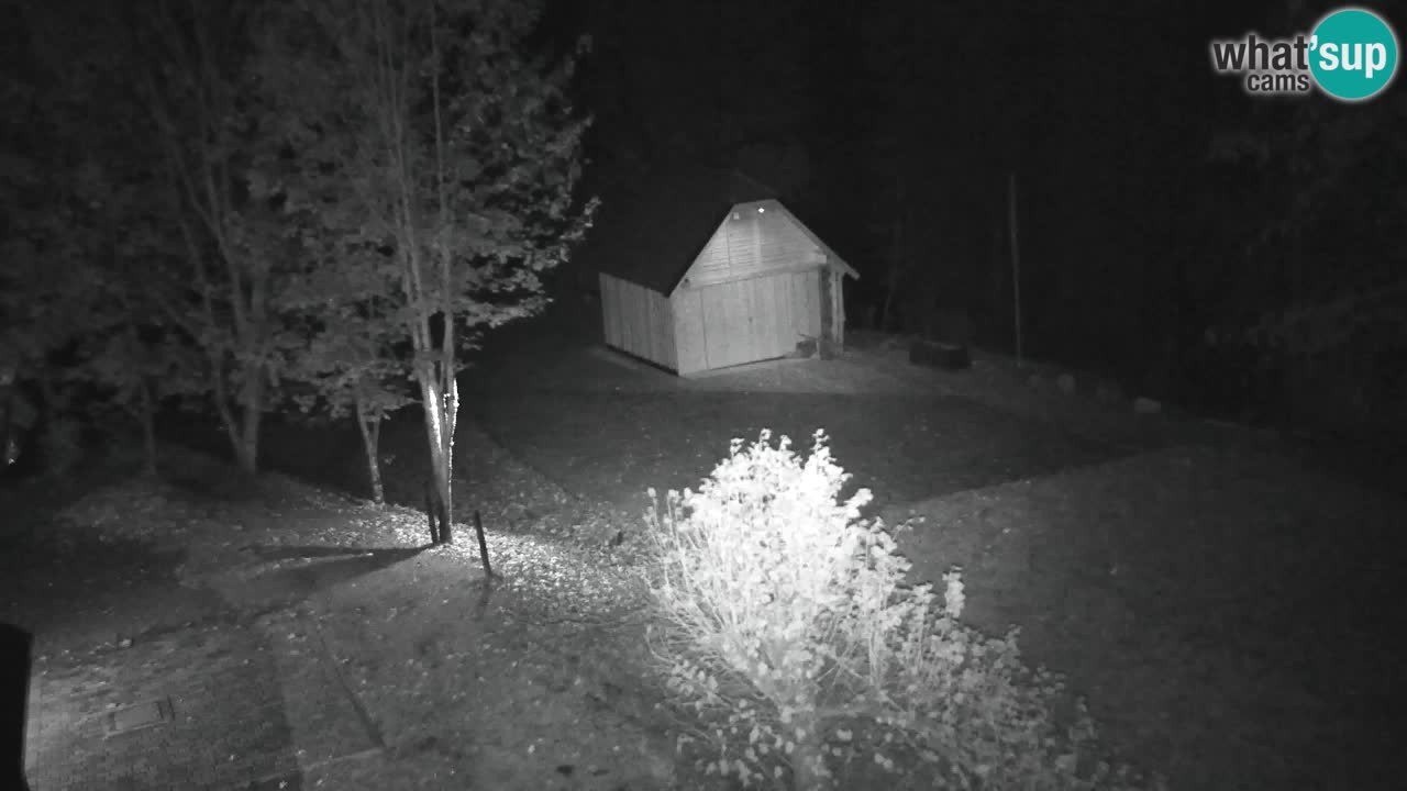 Webcam Lukanja – Water Village | Pohorje Houses