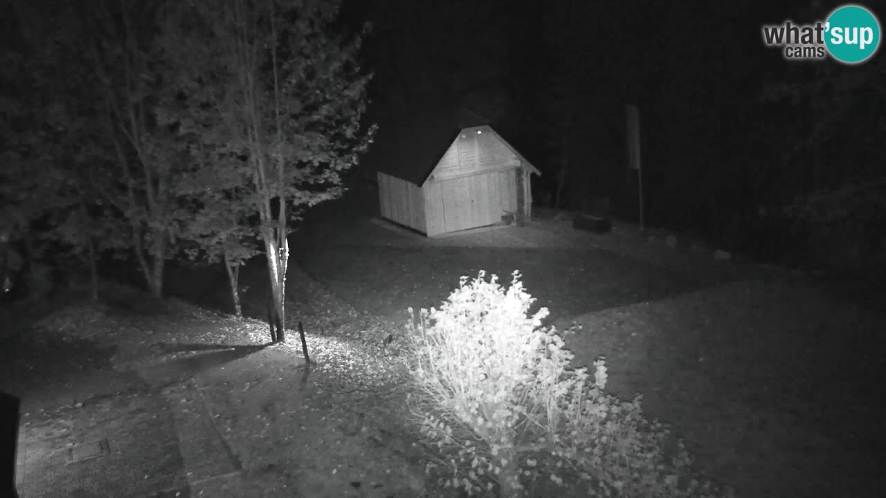Webcam Lukanja – Water Village | Pohorje Houses