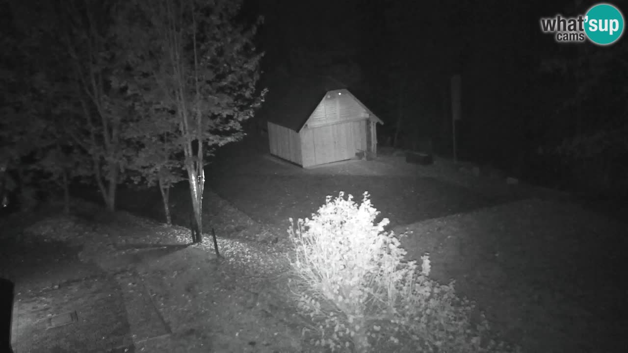 Webcam Lukanja – Pohorje houses a Water village
